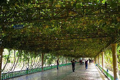 《霍格沃茨之遗》PS5和XSX|S画质模式公布